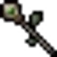 Staff